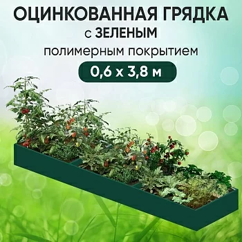 Грядка зеленая (0,6 х 3,8)