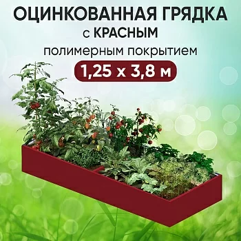 Грядка красная (1,25 х 3,8)