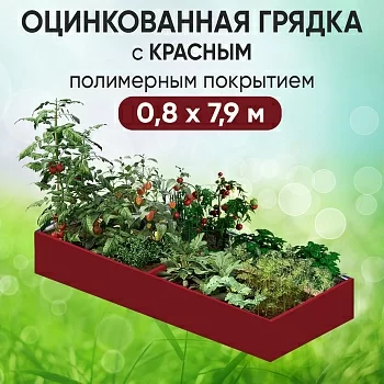 Грядка красная (0,8 х 7,9)