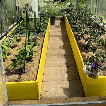 Высокая желтая грядка (0,65 х 7,7)